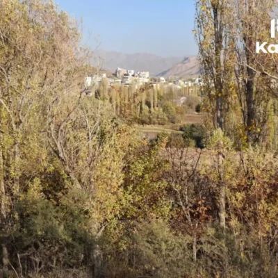 باغ در گلینک طالقان