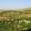 zidasht