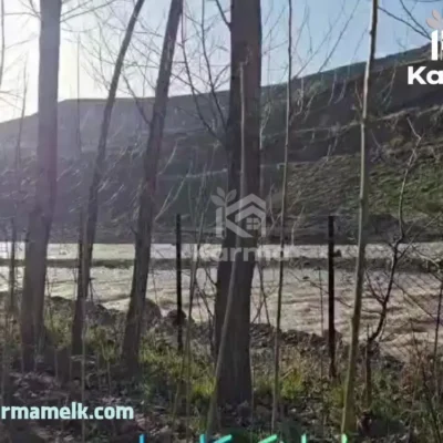 خردید باغ در طالقان کنار رود خانه (2)