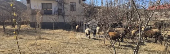 ویلا شهرکی در جزن با مشاوره املاک کارما (3)