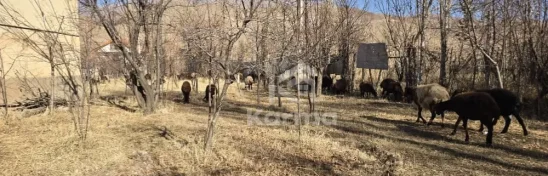 ۱۳.۵ میلیارد تومان ویلا در طالقان